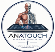 Logo Anatouch